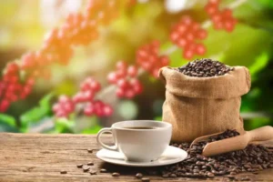 خرید قهوه کلمبیا عربیکا